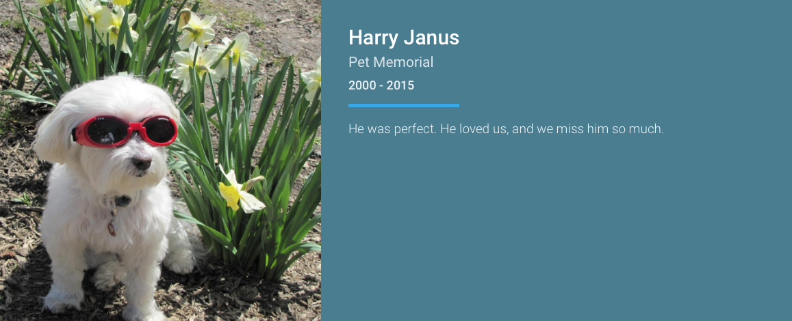 Harry Janus